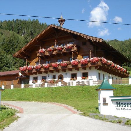 Moserhof Schladming Kültér fotó